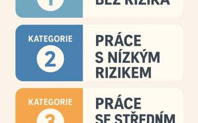 Zařazení prací do kategorií